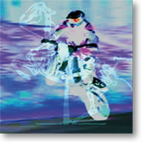 WHEELY